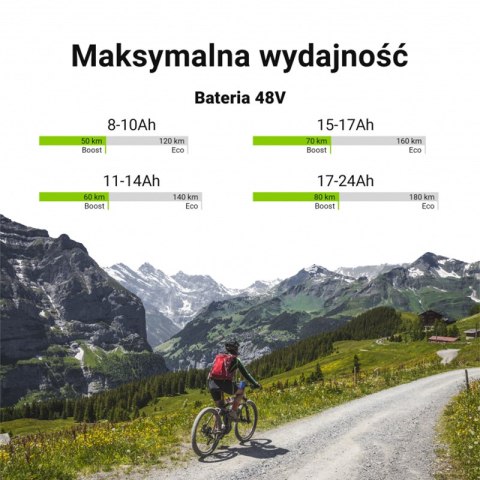 Green Cell - Bateria do roweru elektrycznego E-Bike z ładowarką 48V 18Ah 864Wh Li-Ion XLR 3 PIN