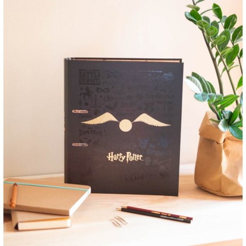 Harry Potter - Segregator A4 (2 ringi, gumka) Harry Potter - Segregator A4 (2 ringi, gumka)