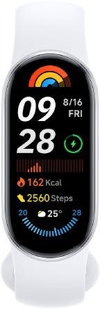 Smartband Xiaomi Smart Band 9 Glacier Silver Smartband Xiaomi Smart Band 9 Glacier Silver