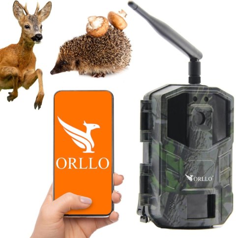 Kamera leśna Orllo Huntercam 3 GSM Fotopułapka Kamera leśna Orllo Huntercam 3 GSM Fotopułapka