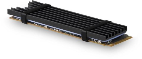 Radiator do dysków Axagon CLR-M2L3 M.2 SSD 3mm AXAGON Radiator do dysków Axagon CLR-M2L3 M.2 SSD 3mm AXAGON