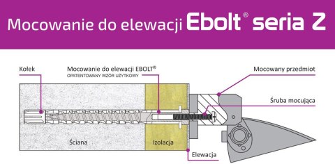 Kołek do mocowania na elewacji Ebolt 12*240 mm z gwintem wewnetrznym m5 EBOLT Kołek do mocowania na elewacji Ebolt 12*240 mm z gwintem wewnetrznym m5 EBOLT