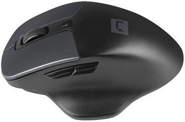 Mysz bezprzewodowa Natec Blackbird 2 NATEC Mysz bezprzewodowa Natec Blackbird 2 NATEC