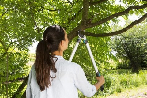 NOŻYCE DO GAŁĘZI EC 680A NOŻYCE DO GAŁĘZI EC 680A