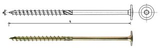 WKRĘT DO DREWNA Z KOŁNIERZEM NA TORX OCYNK ŻÓŁTY 6*30MM T30
