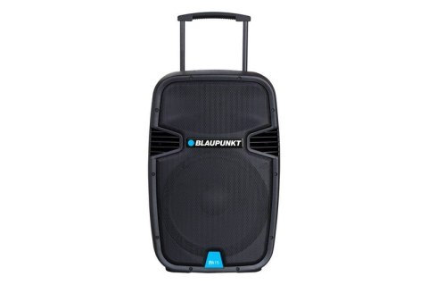 PROFESJONALNY SYSTEM AUDIO PA15 PROFESJONALNY SYSTEM AUDIO PA15