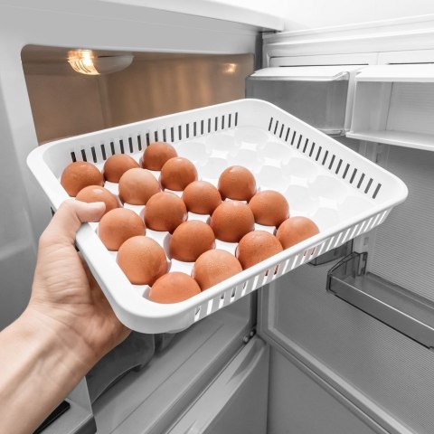 POJEMNIK PUDEŁKO NA JAJKA ORGANIZER LODÓWKI JAJKA POJEMNIK PUDEŁKO NA JAJKA ORGANIZER LODÓWKI JAJKA