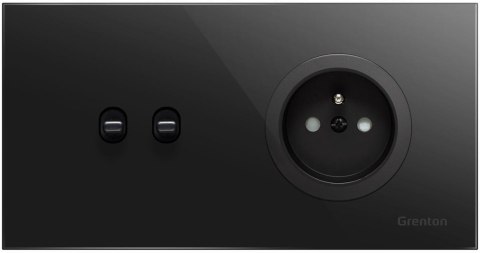Gniadko typ F SOCKET+SWITCH czarny Grenton GRENTON Gniadko typ F SOCKET+SWITCH czarny Grenton GRENTON