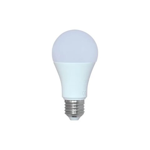 ŻARÓWKA LED 12W E27 1251LM 3000K ŻARÓWKA LED 12W E27 1251LM 3000K
