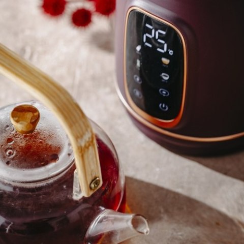 Czajnik elektryczny szklany LED z regulacją temperatury 1,7L