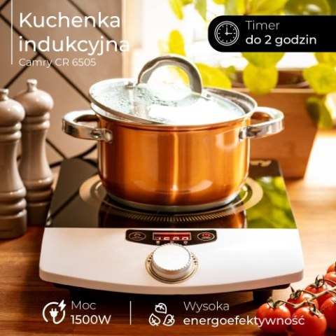 Kuchenka indukcyjna