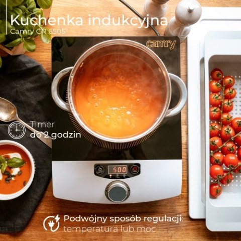 Kuchenka indukcyjna