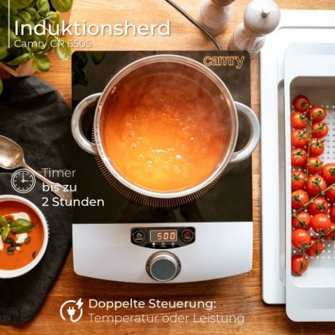 Kuchenka indukcyjna
