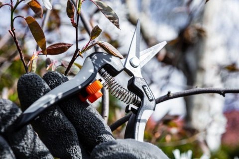 SEKATOR DO MŁODYCH PĘDÓW 185MM ZAKRES DO 6MM