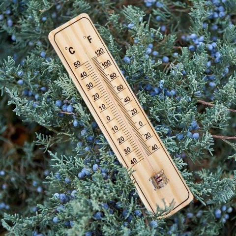 Termometr ogrodowy zewnętrzny wewnętrzny ścienny na ścianę balkon taras klasyczny 22 cm Termometr ogrodowy zewnętrzny wewnętrzny ścienny na ścianę balkon taras klasyczny 22 cm