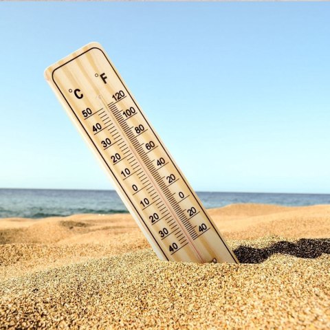 Termometr ogrodowy zewnętrzny wewnętrzny ścienny na ścianę balkon taras klasyczny 22 cm Termometr ogrodowy zewnętrzny wewnętrzny ścienny na ścianę balkon taras klasyczny 22 cm