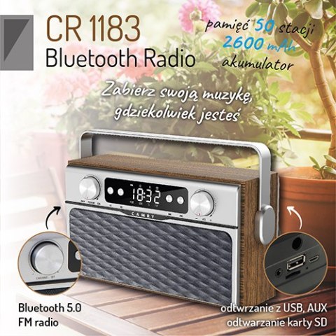 Radio z Bluetooth Radio z Bluetooth