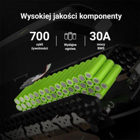 Green Cell - Bateria PowerMove 13Ah (624Wh) do roweru elektrycznego E-Bike 48V Green Cell - Bateria PowerMove 13Ah (624Wh) do roweru elektrycznego E-Bike 48V